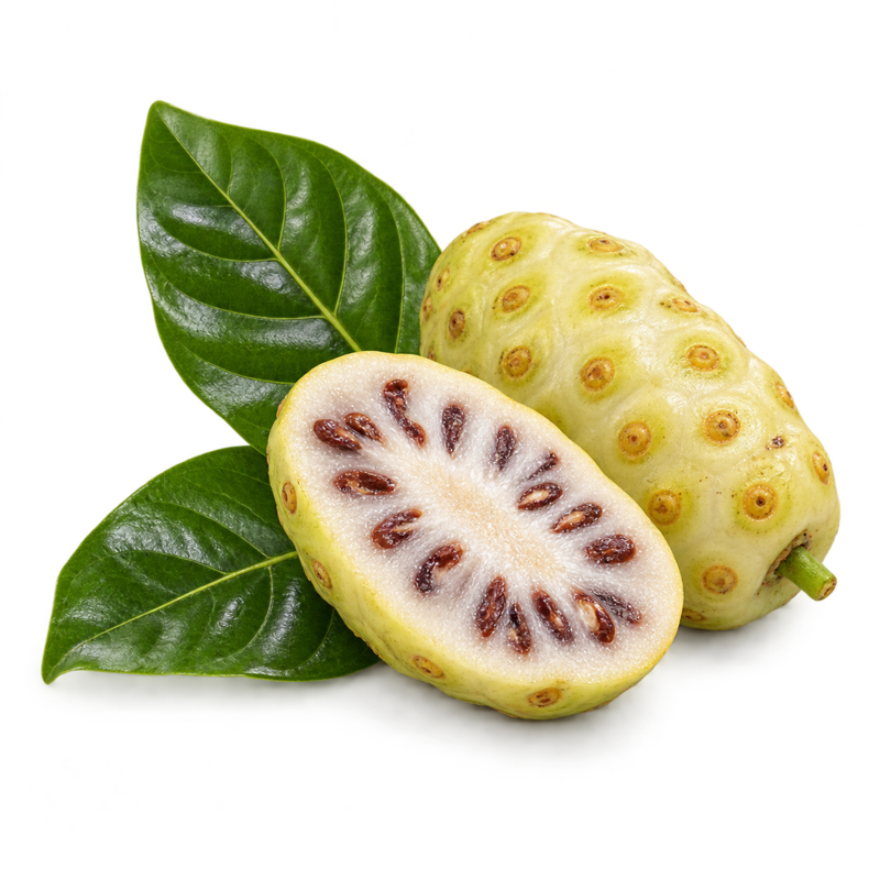 Fruto de noni entero y cortado