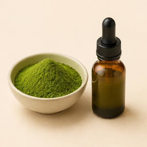 Polvo verde y extracto concentrado de moringa