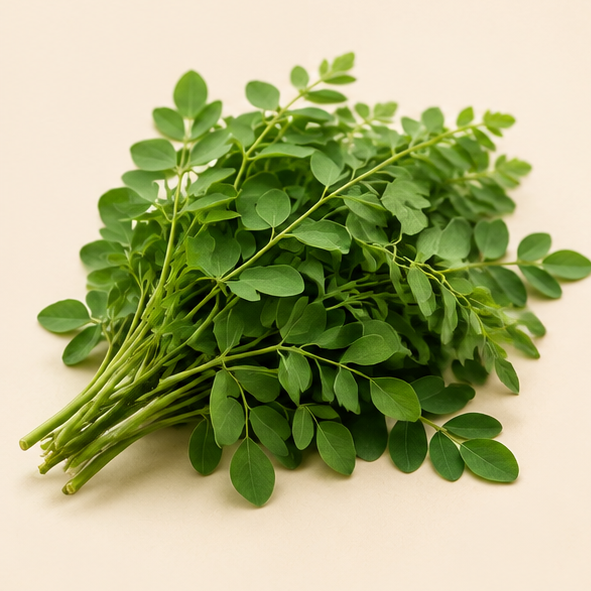 Ramas y hojas frescas de Moringa oleifera