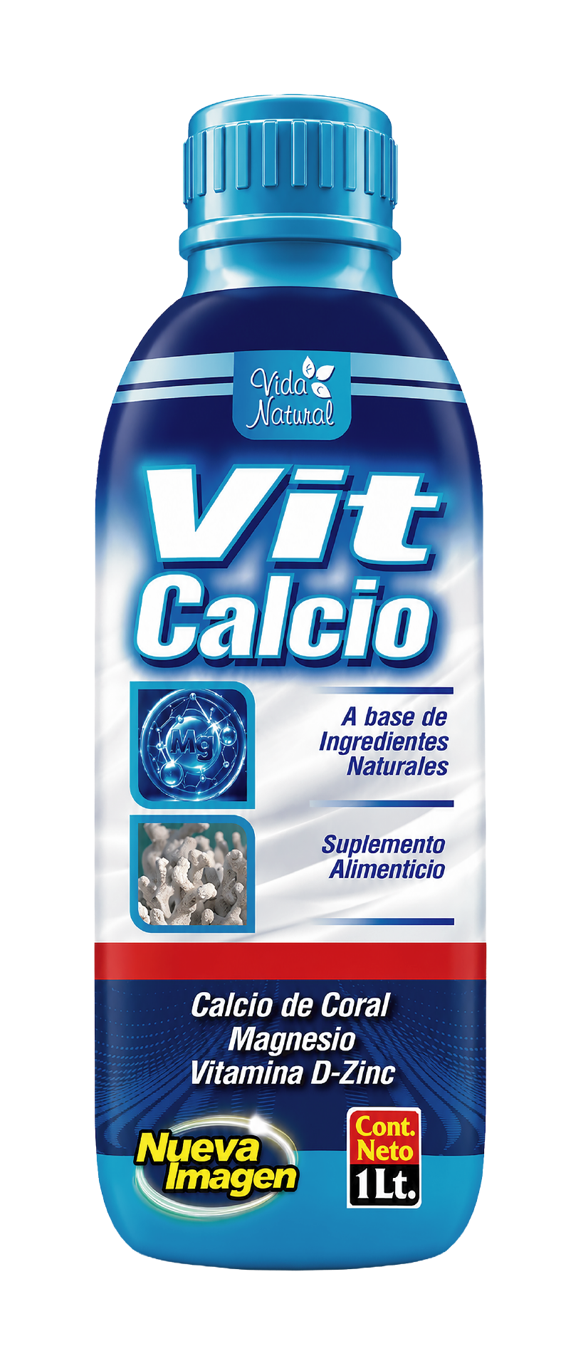 VITAL CALCIO